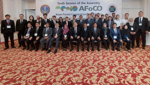 Indonesia participates in the 10th Session of the Assembly of AFoCO