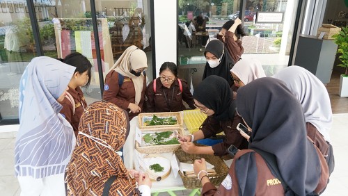 Indonesian Natural Silk Laboratory (SAI) Transfer of Silkworm Cultivation Knowledge with IPB Faculty of Animal Husbandry Students